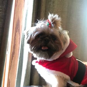 Meet your Posher, Gianna